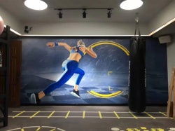 体育西健身房墙绘